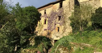 Meublé de tourisme Le petit fort fleuri_1