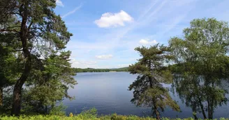 Gite "Le Bourg" à Beaumont Du Lac  en Haute-Vienne (Limousin en Nouvelle Aquitaine). Le lac de Vassivière._11