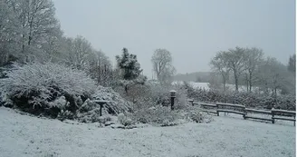 jardin sous la neige_26 jardin sous la neige_26