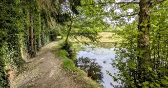 Gite "Les Ribières" à Les Cars en Haute-Vienne (Nouvelle Aquitaine)_11