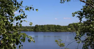 Etang de Murat à Lussac-les-églises en Haute-Vienne (Limousin)_20