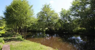 Au bord de la rivière à 100m du gîte de "La Rivaille " à Lussac-les-églises en Haute-Vienne (Limousin)_3