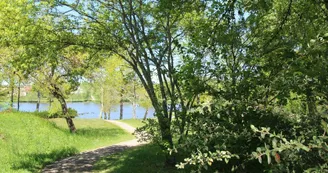 Gite "Royer - Etang de La Roche" à Meuzac en Haute-Vienne (Limousin)_14