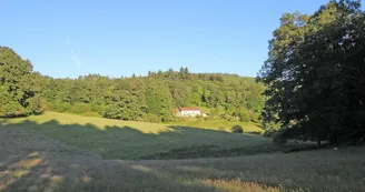 Gîte de Chalendeix en Haute-Vienne, vue de la petite route qui conduit à Chalendeix_36
