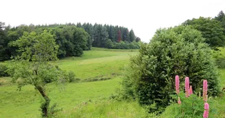 Gîte de Chalendeix en Haute-Vienne, vue de la terrasse_37