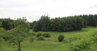 Gîte de Chalendeix en Haute-Vienne, vue de la terrasse_38