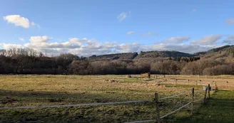 Gite de Lintignat à Peyrat Le Chateau en Haute-Vienne_16