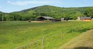Lintignat, nature, forêt et montagnes à 5 minutes du lac de Vassivière_2