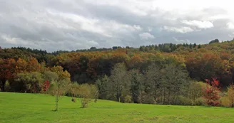 Gite "Bosrigaud" à Peyrat Le Château en Haute-Vienne (Limousin en Nouvelle Aquitaine)_20