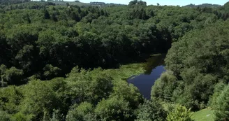 Gite "Bosrigaud" à Peyrat Le Château en Haute-Vienne (Limousin en Nouvelle Aquitaine)_21