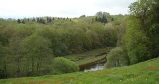 Gite "Bosrigaud" à Peyrat Le Château en Haute-Vienne (Limousin en Nouvelle Aquitaine)_3
