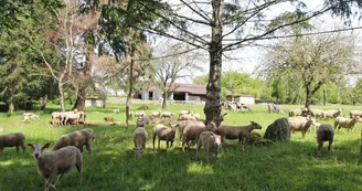 La Maison de Claire à Saint Ouen sur Gartempe en Haute-Vienne (Nouvelle Aquitaine)_53