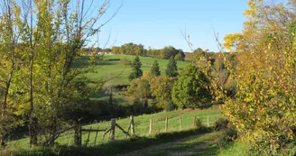 Gite "Leygat" à Solignac en Haute-Vienne (Limousin)_28