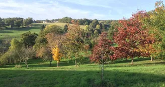 Gite "Leygat" à Solignac en Haute-Vienne (Limousin)_34