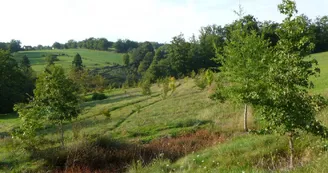 Gite "Leygat" à Solignac en Haute-Vienne (Limousin)_20