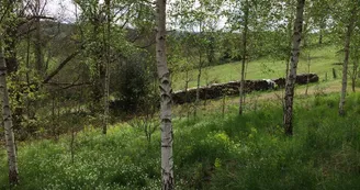 Gite "Leygat" à Solignac en Haute-Vienne (Limousin)_23