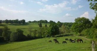 Gite "Leygat" à Solignac en Haute-Vienne (Limousin)_24