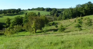 Gite "Leygat" à Solignac en Haute-Vienne (Limousin)_2