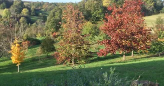 Gite "Leygat" à Solignac en Haute-Vienne (Limousin)_32