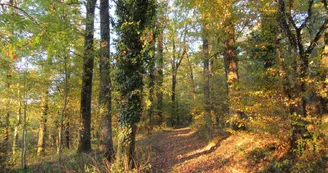 Gite "Leygat" à Solignac en Haute-Vienne (Limousin)_31