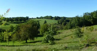 Gite "Leygat" à Solignac en Haute-Vienne (Limousin)_19