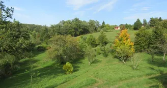Gite "Leygat" à Solignac en Haute-Vienne (Limousin)_35