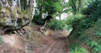 Le gîte à la campagne à Chassagnas sur la commune de La Croisille Sur Briance en Haute-Vienne - chemin de randonnée_22