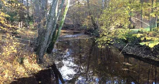 Gite "Le Moulin De Pont Pery" à Saint Martin Le Vieux en Haute-Vienne (Nouvelle Aquitaine). L'autre ruisseau_15