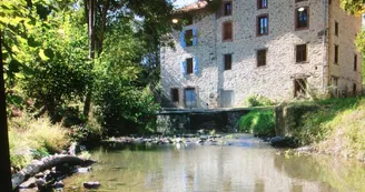 Gite "Le Moulin De Pont Pery" à Saint Martin Le Vieux en Haute-Vienne (Nouvelle Aquitaine). Maison principale et ruisseaux_11