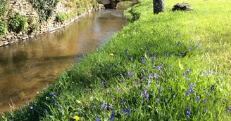 Gite "Le Moulin De Pont Pery" à Saint Martin Le Vieux en Haute-Vienne (Nouvelle Aquitaine). Le ruisseau_9