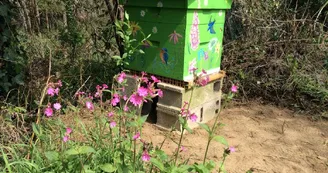 Gite "Le Moulin De Pont Pery" à Saint Martin Le Vieux en Haute-Vienne (Nouvelle Aquitaine). Ruche d'abeilles_12