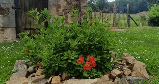 Jardin 1