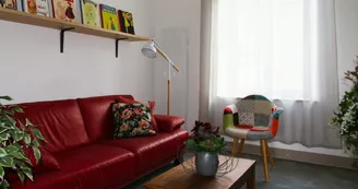 firmin-salon-Modifie