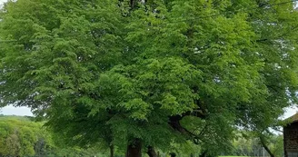FB_IMG_1709303543254