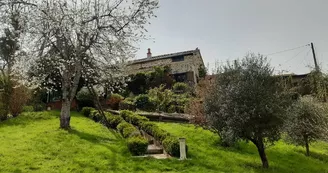 jardin paysager