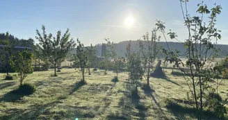 Roulotte du Verger, vue sur le verger