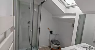 Salle d'eau gîte Spa de nage - Saint-Junien
