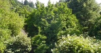 vue jardin 1