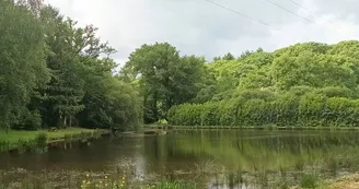 étang