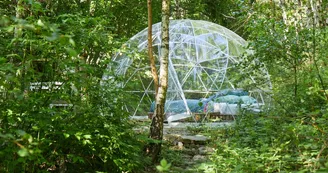 Bulle - Forêt de Chataîgnier