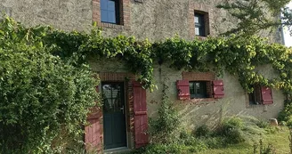 IMG_20230806_091342