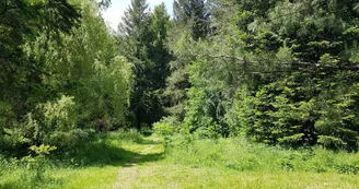 Jardin-191
