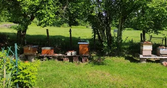 Jardin 2 - Sirtaqui