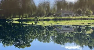 _40 _40