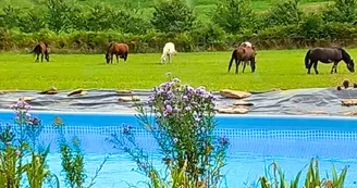 Domaine des Maisons - Châlus
