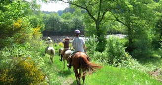 Promenade-cheval