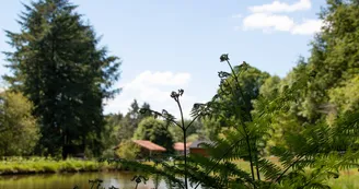 Vauguenige Juin 2019 © Sabine Massé-7