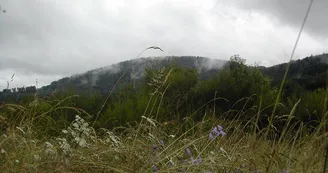 Aire naturelle de Saint-Julien le Petit