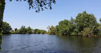 étand