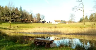 Banc au bord de l'étang